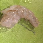 IMG_9536